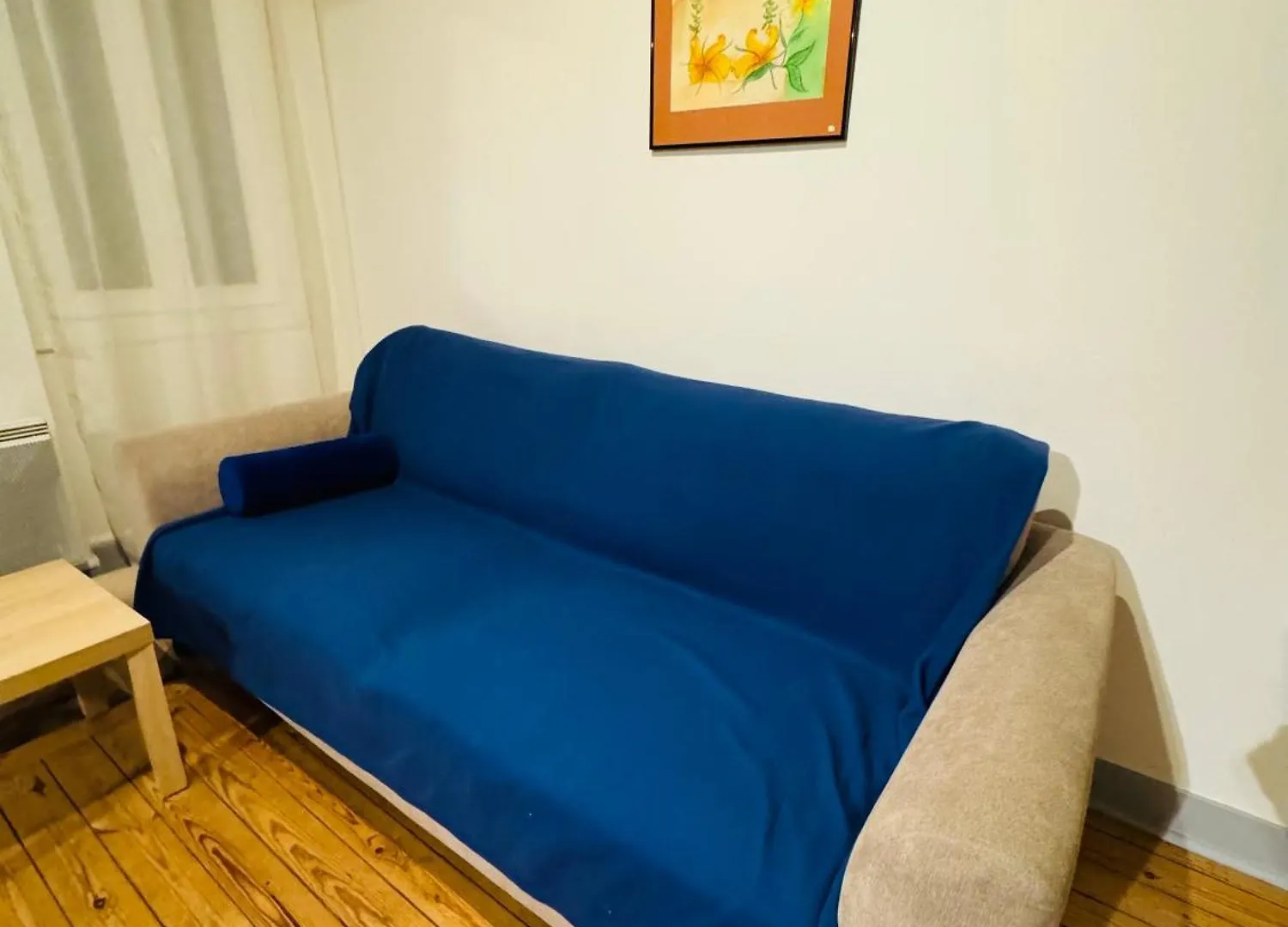 1 Appartement Entier Au Centre Toulouse